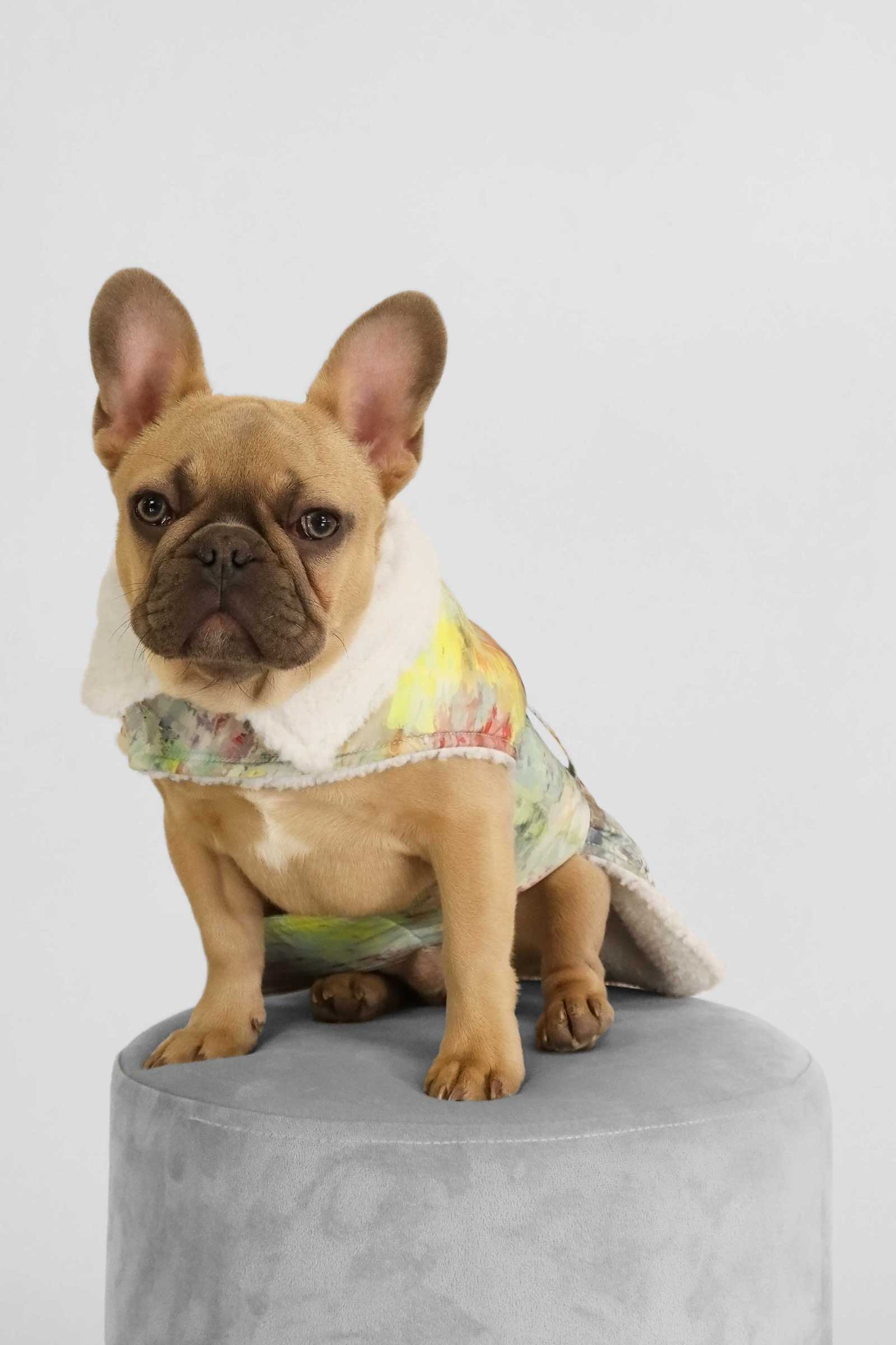 Product image 22